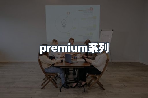 premium系列
